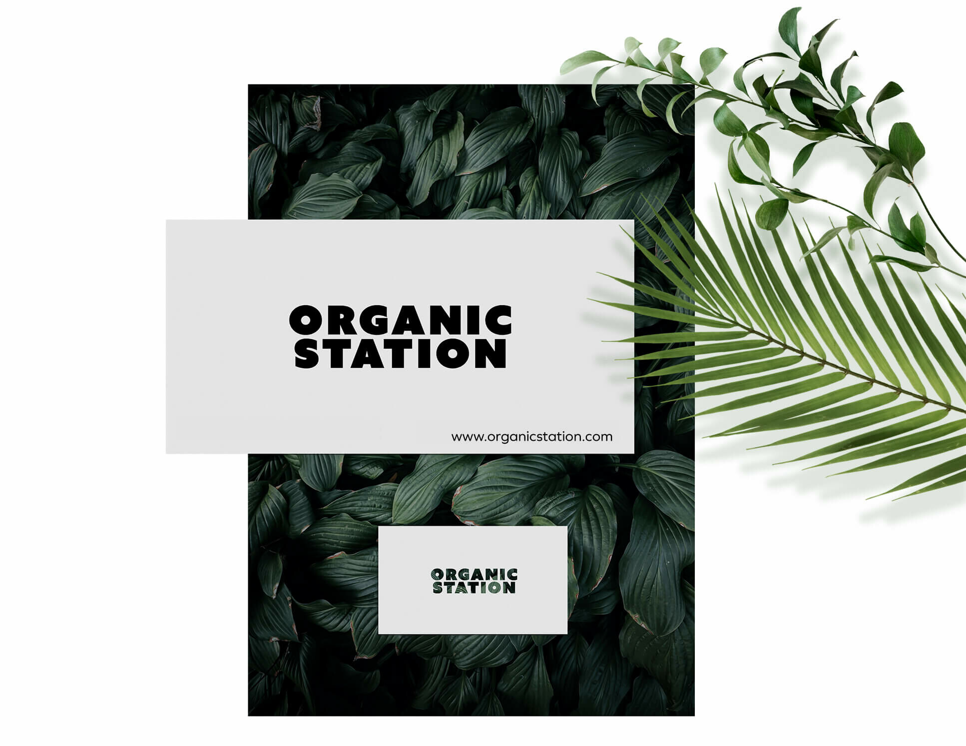 Organic Station logo design