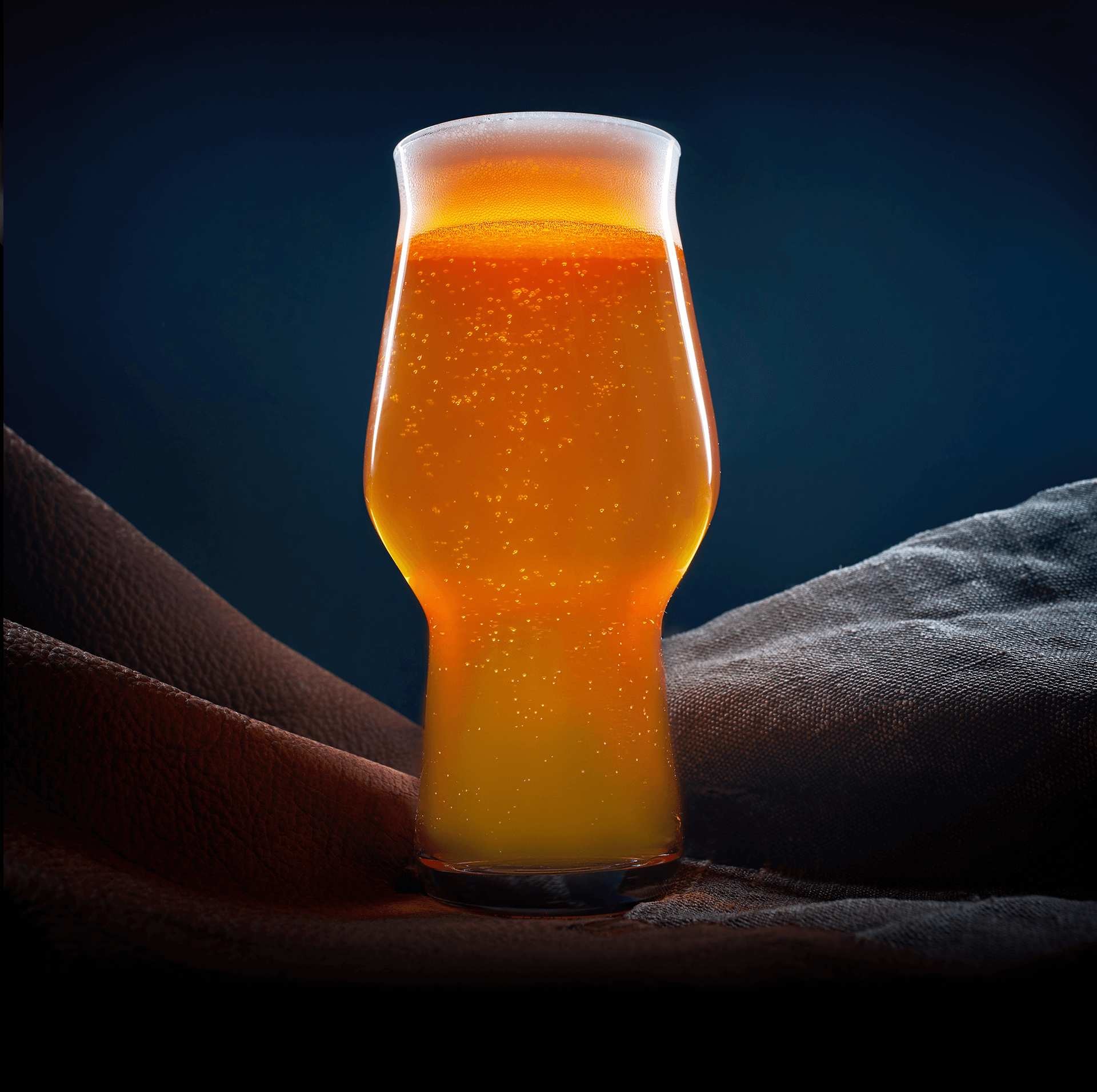 Beer in IPA glass on navy background