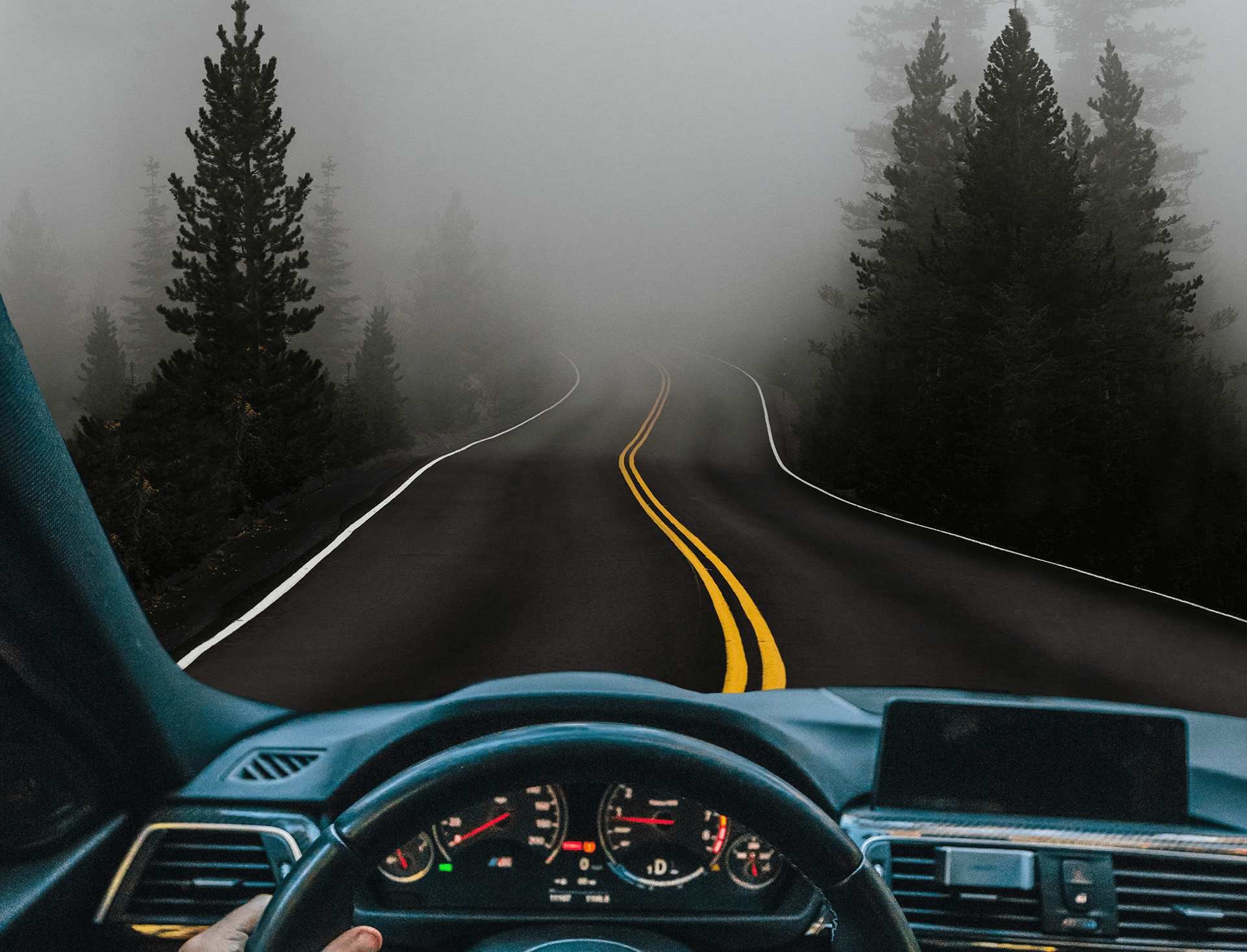 Mglista leśna droga i widok na deskę rozdzielczą samochodu